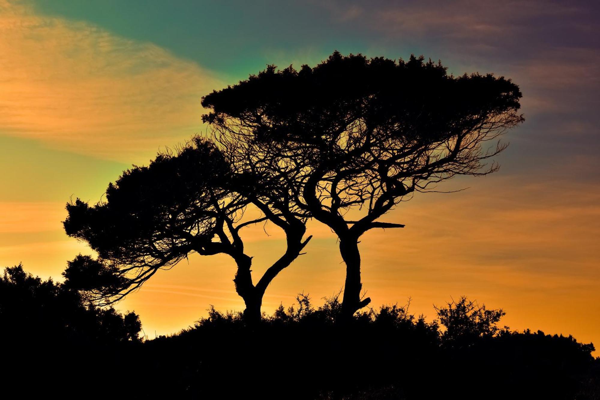 Le Mas Du Soleil Sainte-Maxime Esterno foto
